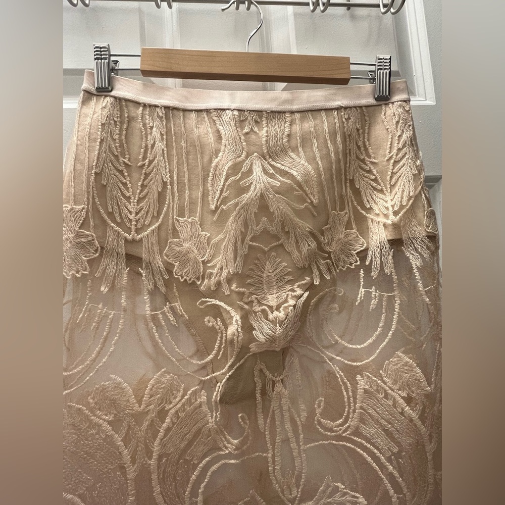 Anthropologie Sheer Embroidered Cream Midi Skirt - Picture 10 of 12